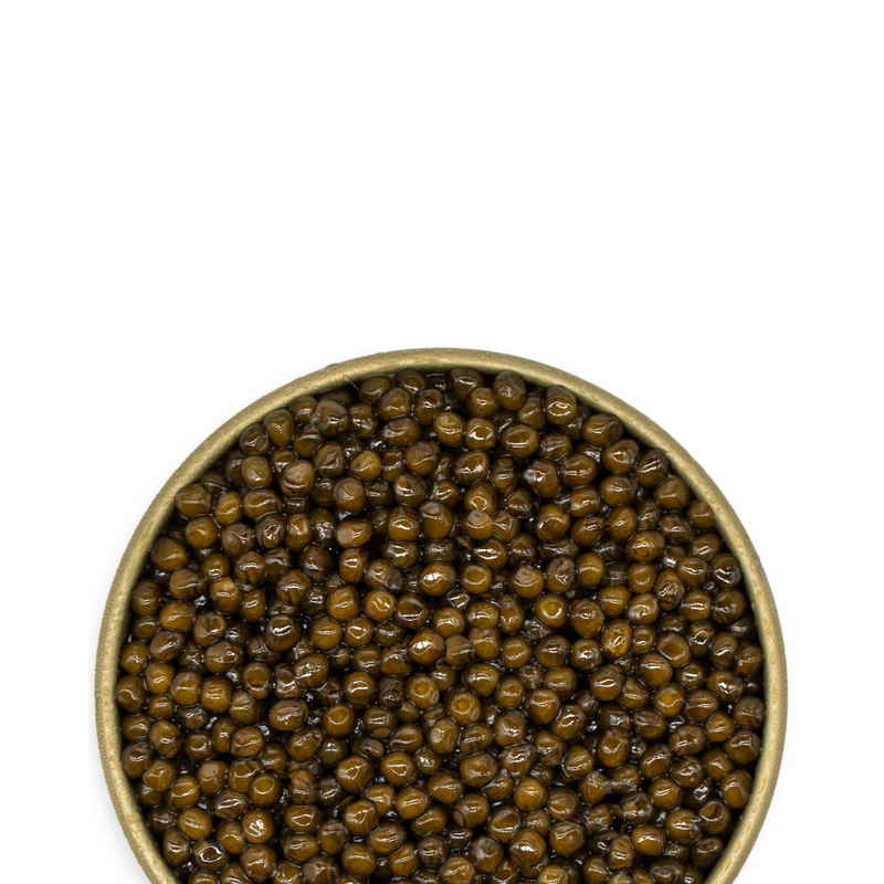 Kaluga Classic Caviar