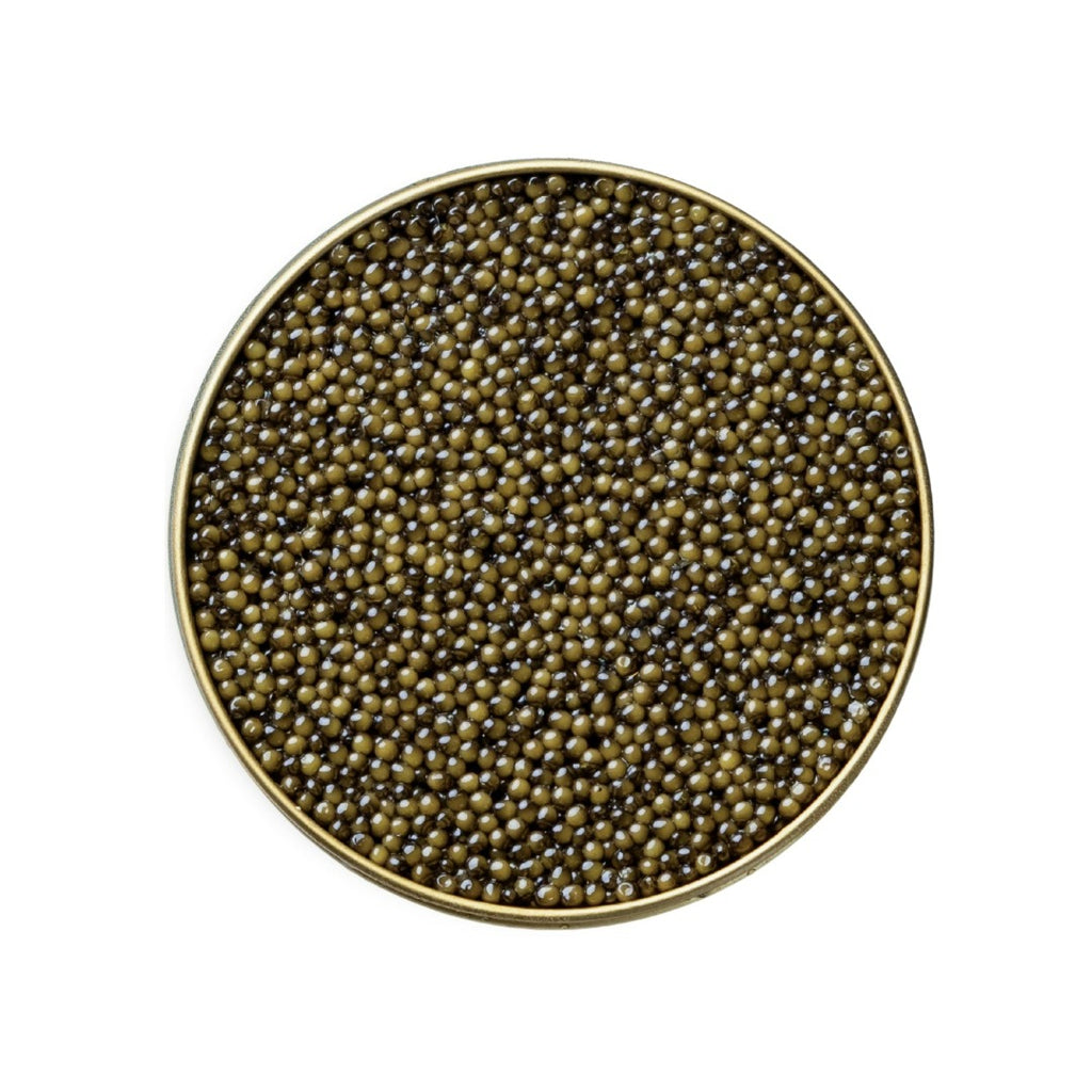 Osetra Classic Caviar by Number One Caviar