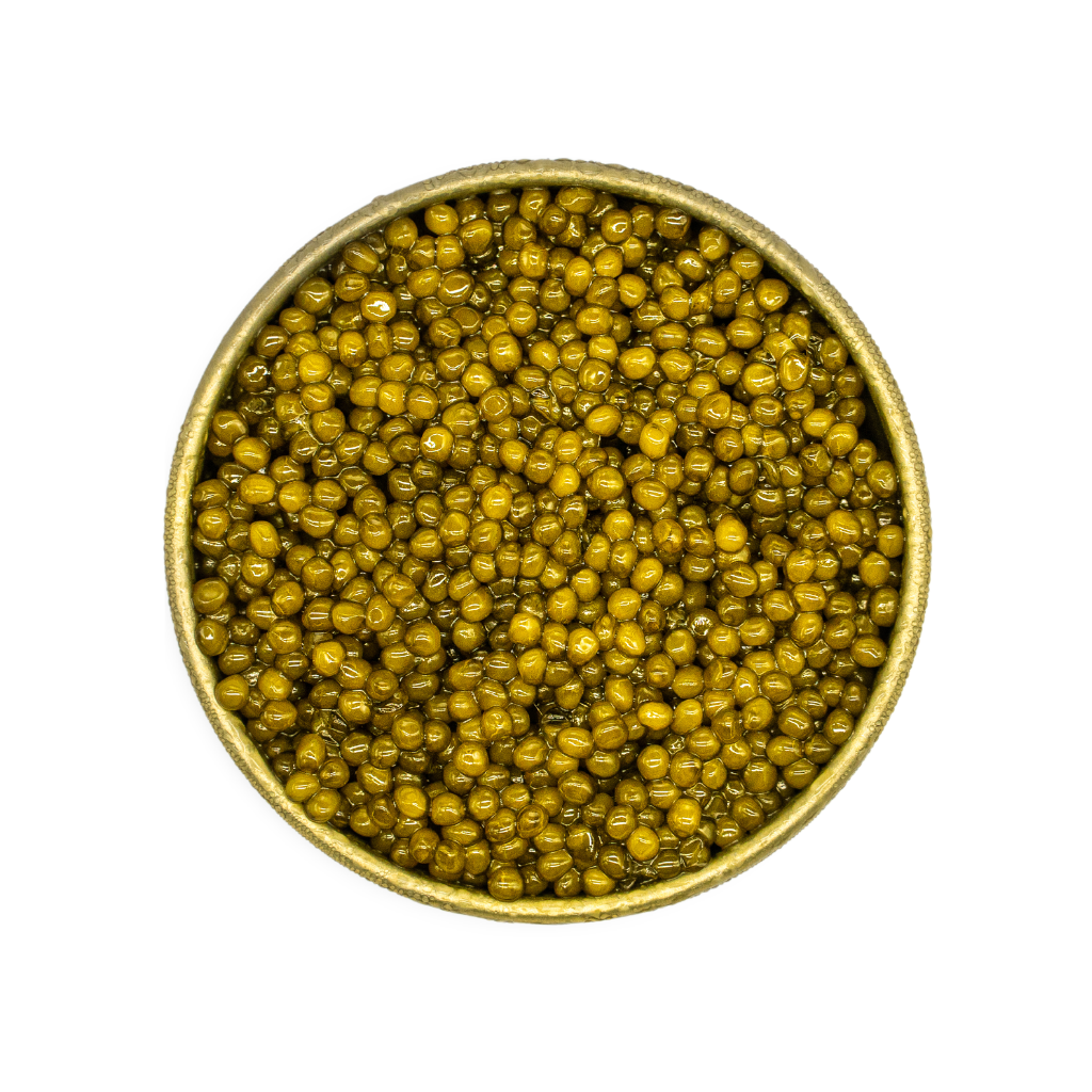 Kaluga Gold Caviar - Number One Caviar