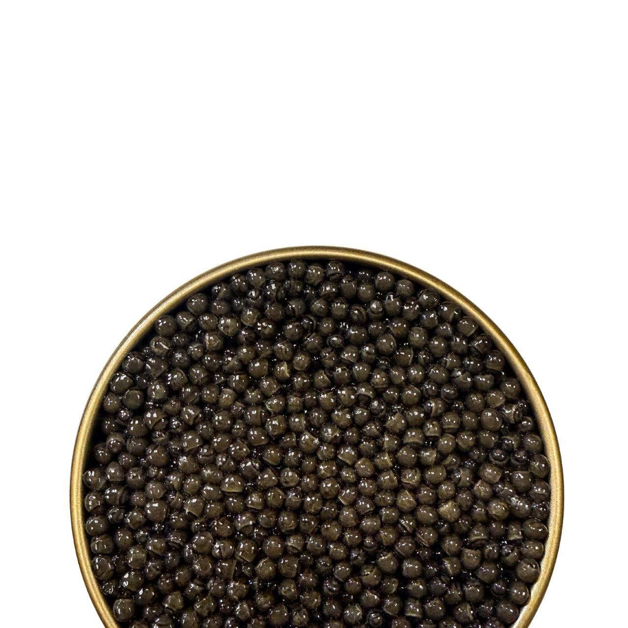 Premium Sturgeon Hybrid - Number One Caviar