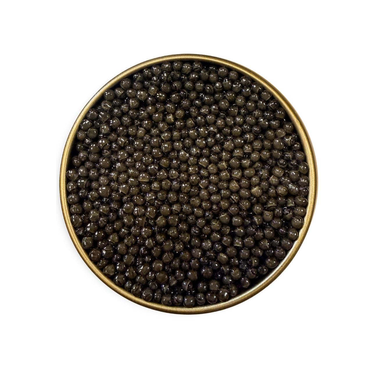Premium Sturgeon Hybrid - Number One Caviar