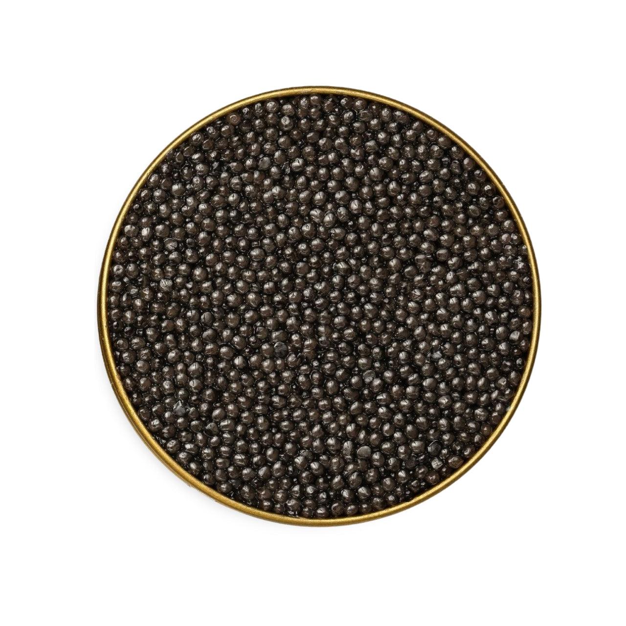 Royal Persian - Number One Caviar
