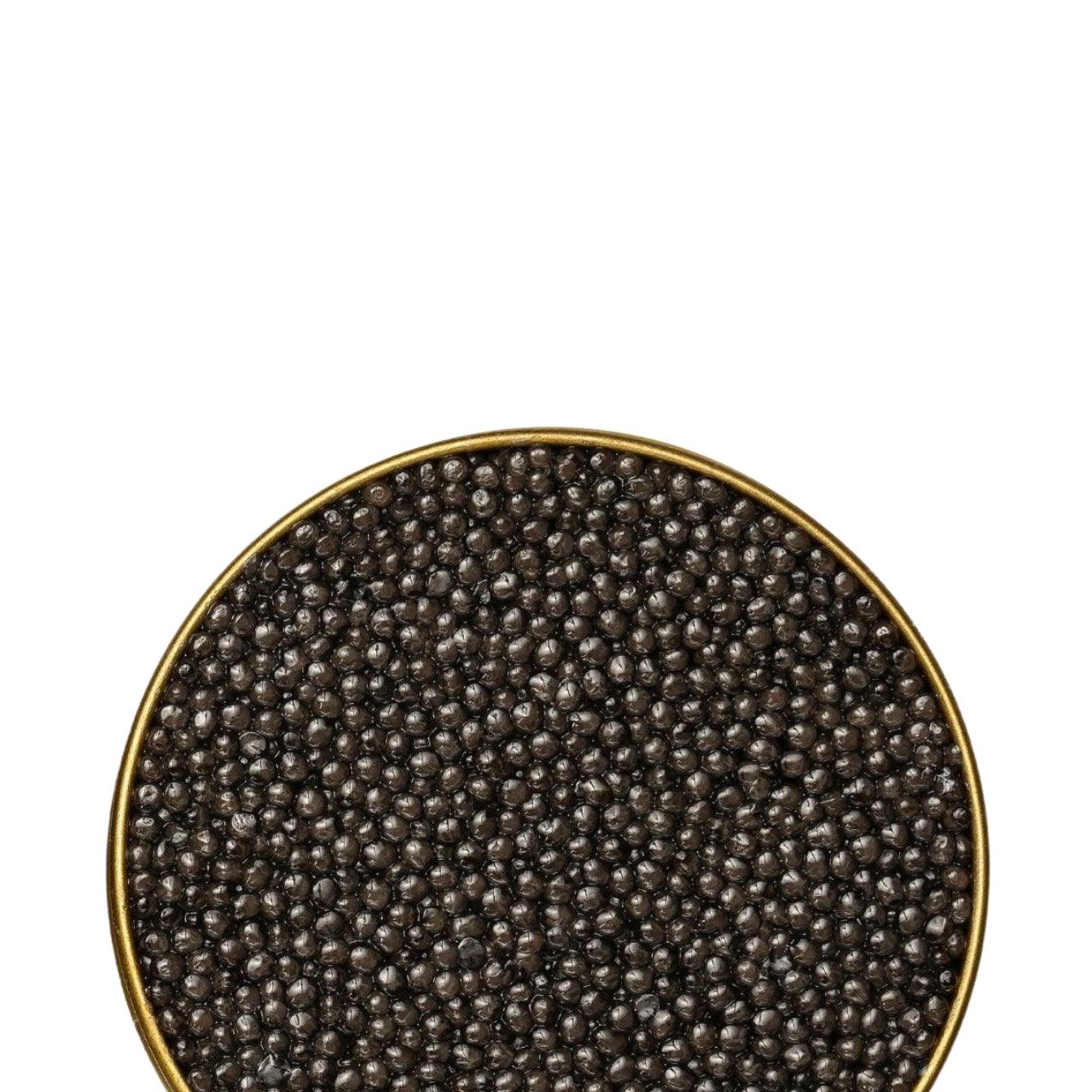 Royal Persian - Number One Caviar