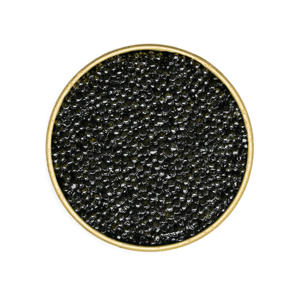 White Sturgeon Caviar - Number One Caviar