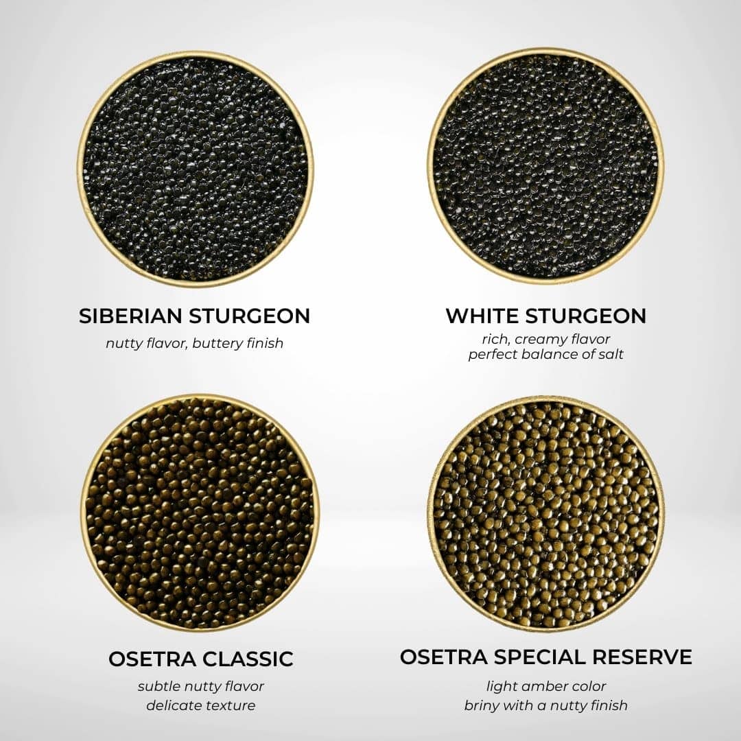 Number One Caviar Starter Set