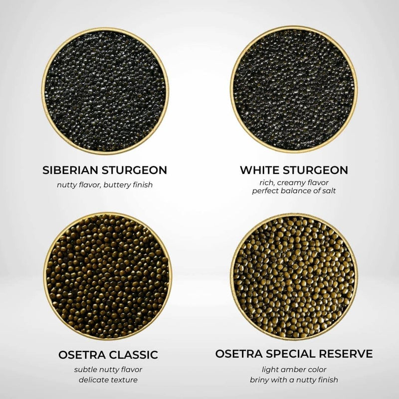 Number One Caviar Starter Set - Number One Caviar -